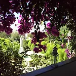 Sofia 4* باروس
