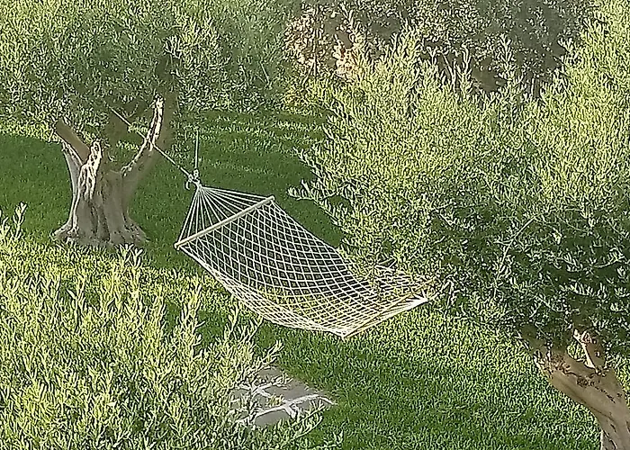 Sofia ゲストハウス