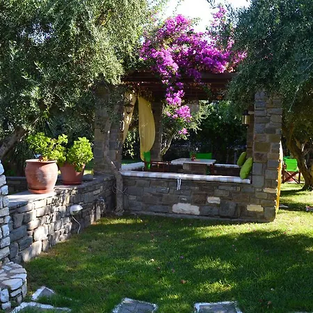 Pension Sofia Guest house 3*