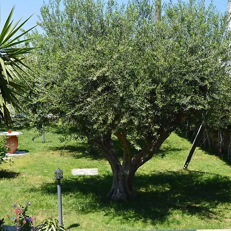 بيت ضيافة Sofia باروس