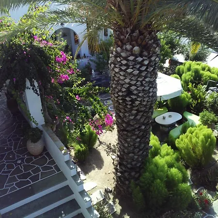 Sofia بيت ضيافة