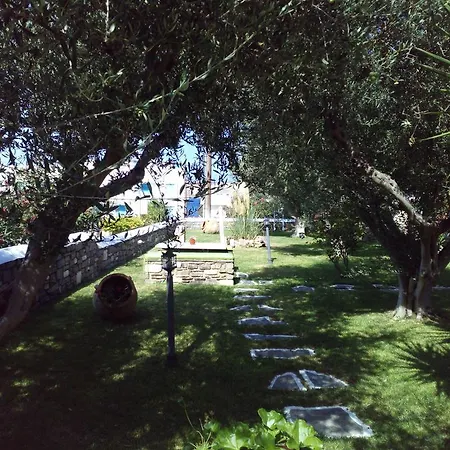 Pension Sofia 3*