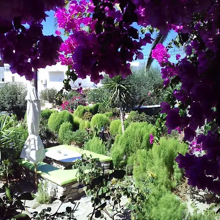 Sofia بيت ضيافة