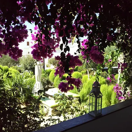 Pension Sofia 3* Parikia (Paros)