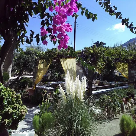 Sofia Konukevi Páros