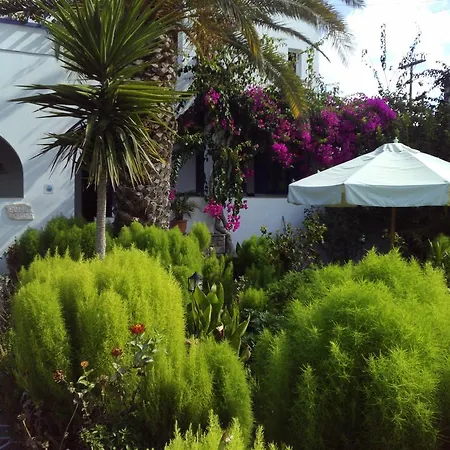 Sofia بيت ضيافة 4*