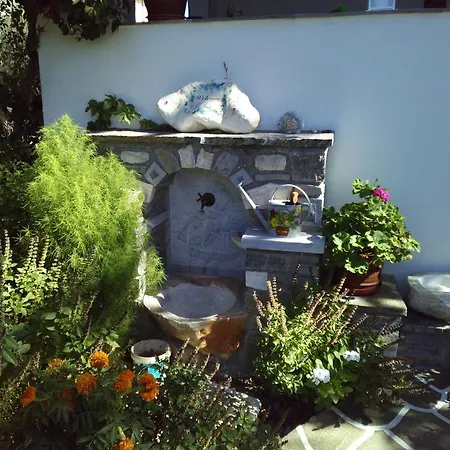 Pension Sofia Guest house 3*