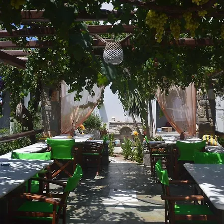Guest house Pension Sofia Parikia (Paros)