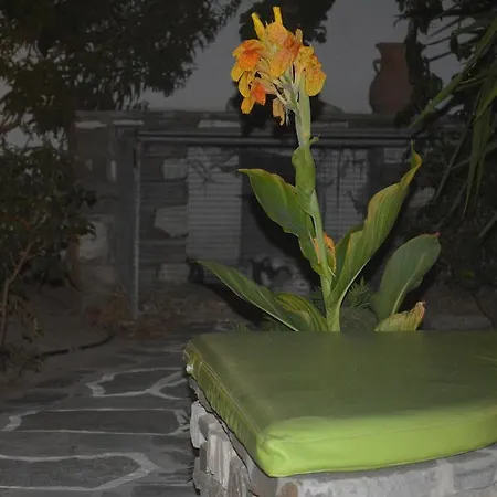 Guest house Pension Sofia Parikia (Paros)