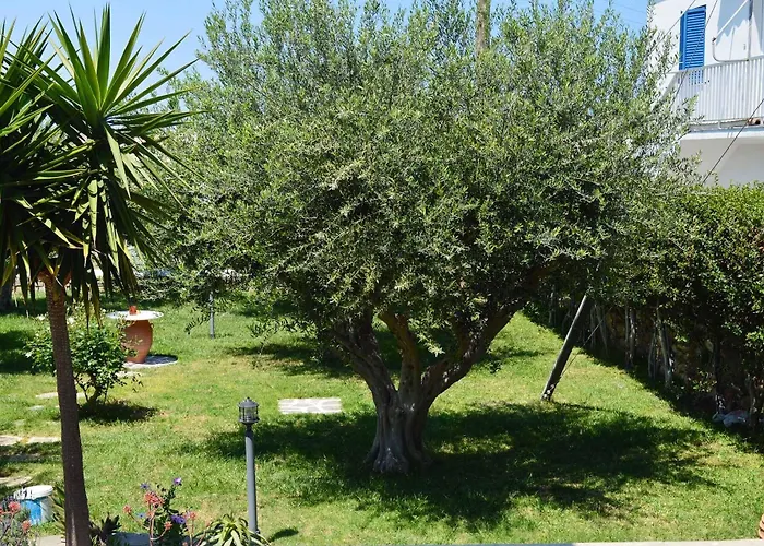 Πανσιόν Sofia Πάρος