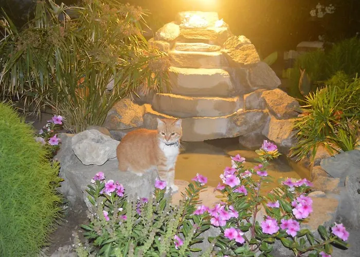 Πανσιόν Sofia